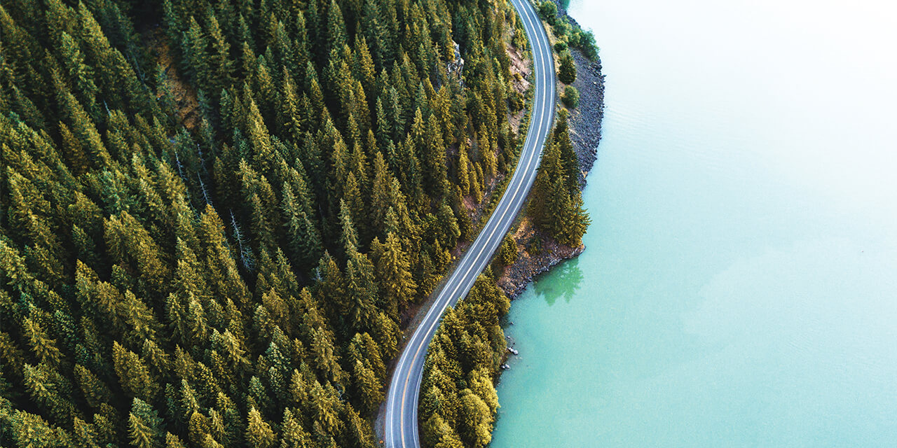 Aerial image of a road that curves along the edge of a thick forest on the left and the ocean on the right