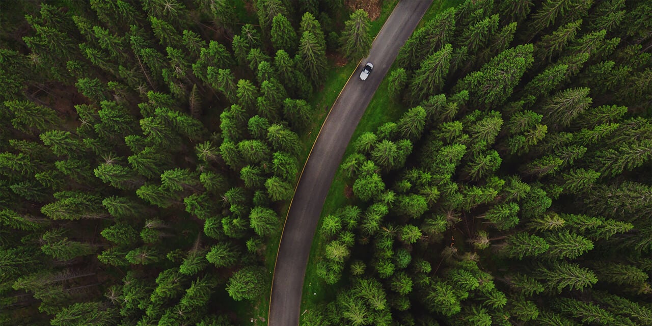 Overhead image of a road curving through a dense forest